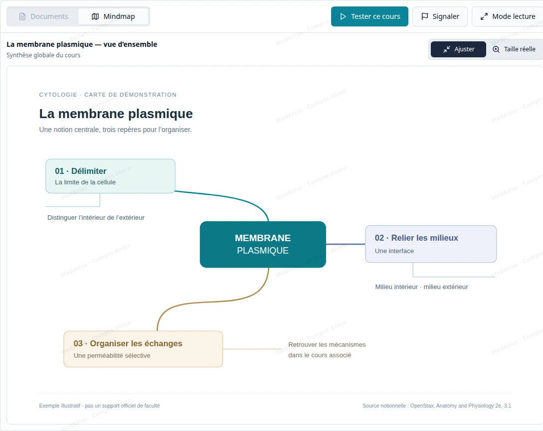 Vrai lecteur de mindmaps MedAtlas avec les commandes Ajuster, Taille réelle et Mode lecture, et une carte de démonstration sur la membrane plasmique.